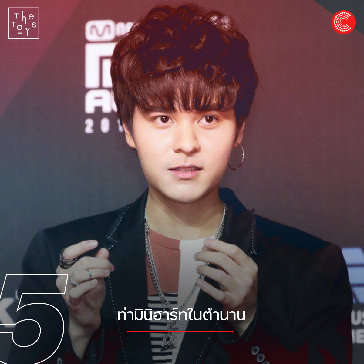 เดอะ ทอย ศิลปิน นักร้อง มากความสามารถ